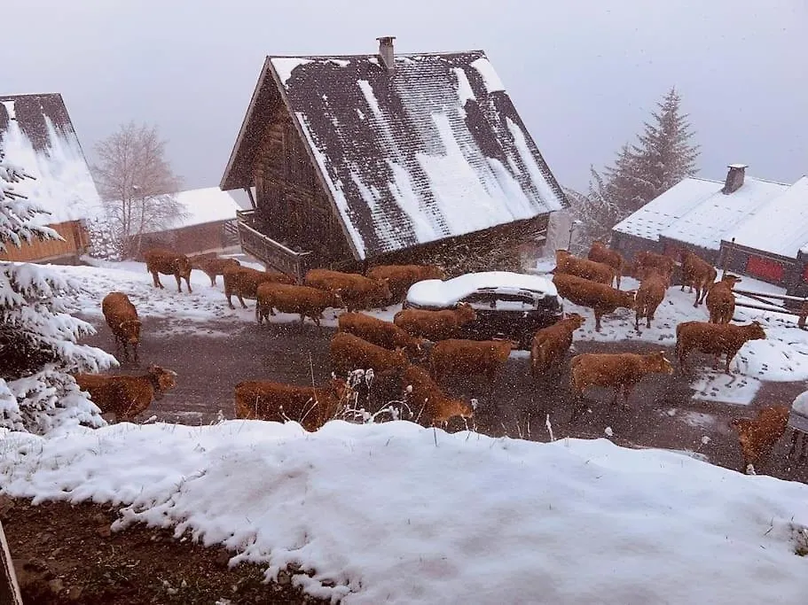 Chalet Moderne Classe 4 Etoiles St Lary Alt1700 M - 100Mdespistes Saint-Lary-Soulan 0*,